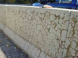 Anti corrosion material for rainforced concrete
